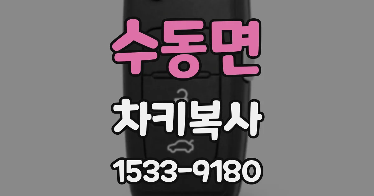수동면 차키복사