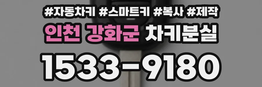 인천 강화군 차키분실