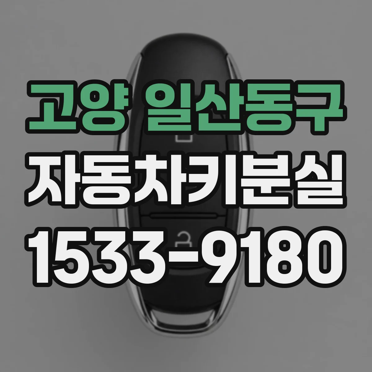 고양 일산동구 자동차키분실