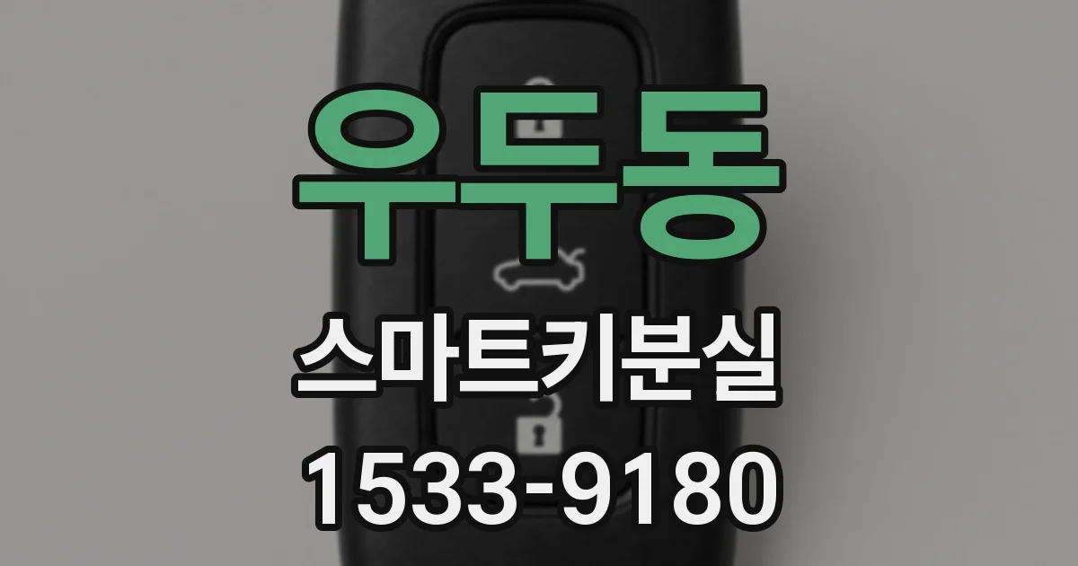 우두동 스마트키분실