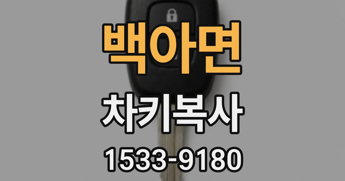 백아면 차키복사