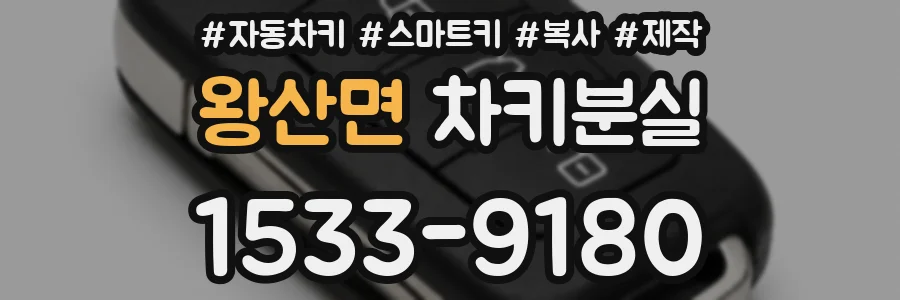 왕산면 차키분실