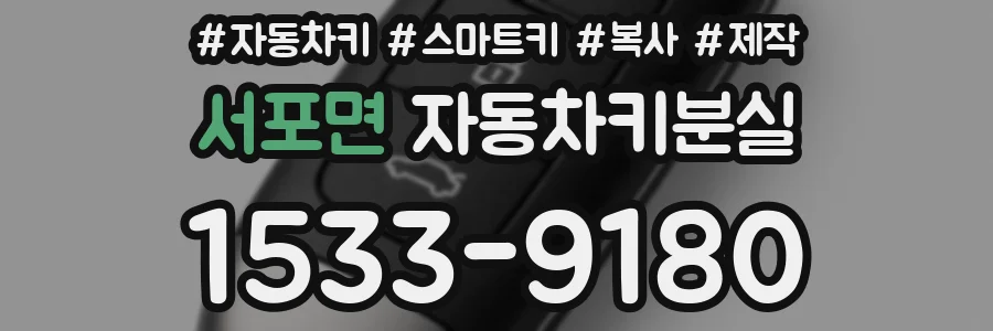 서포면 자동차키분실