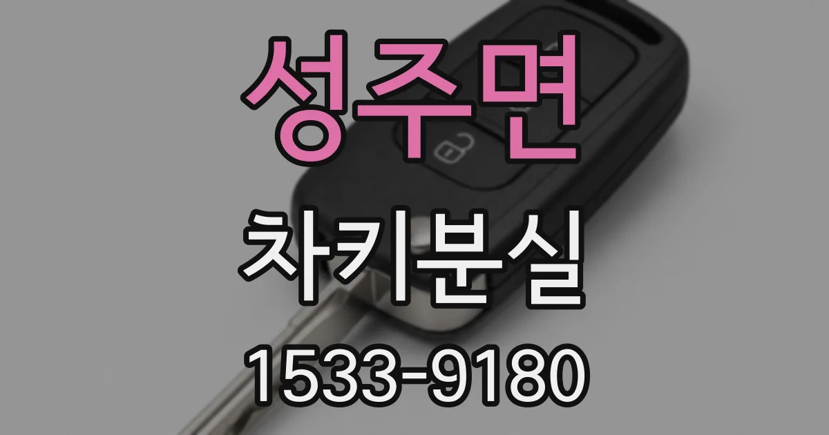 성주면 차키분실