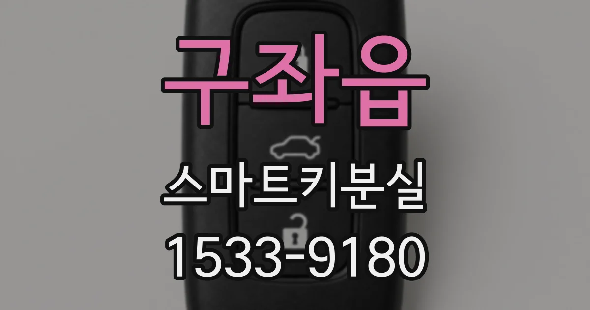 구좌읍 스마트키분실