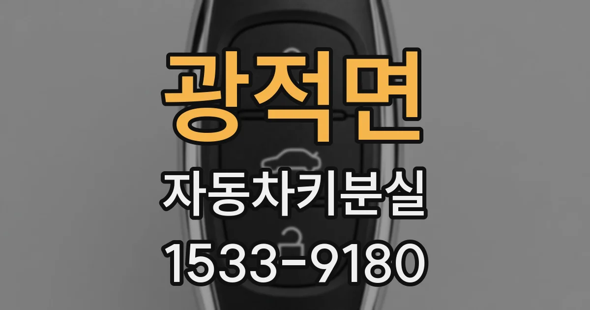 광적면 자동차키분실