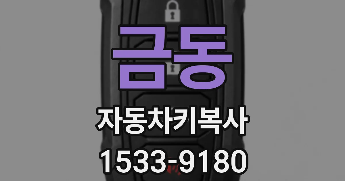 금동 자동차키복사