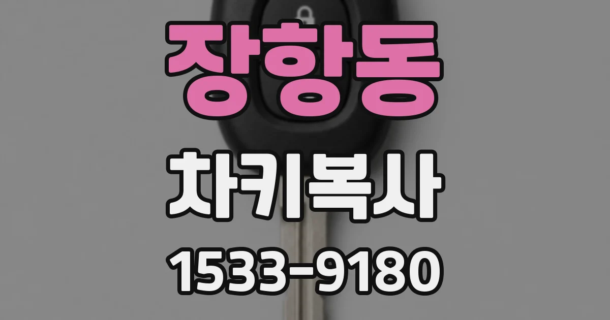 장항동 차키복사