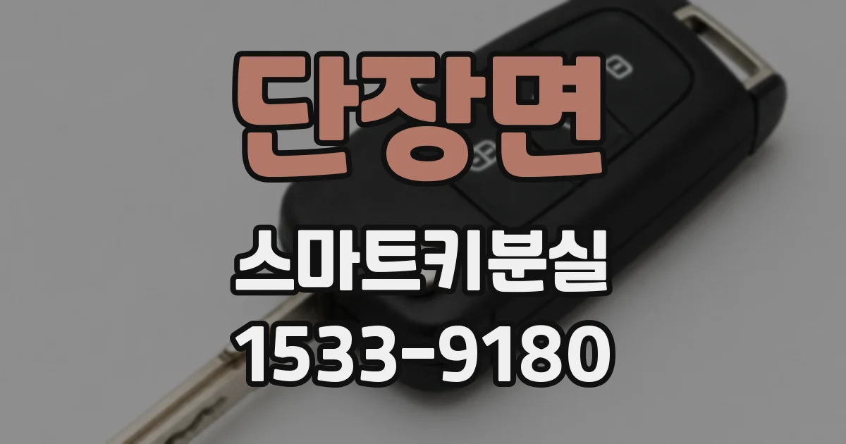 단장면 스마트키분실