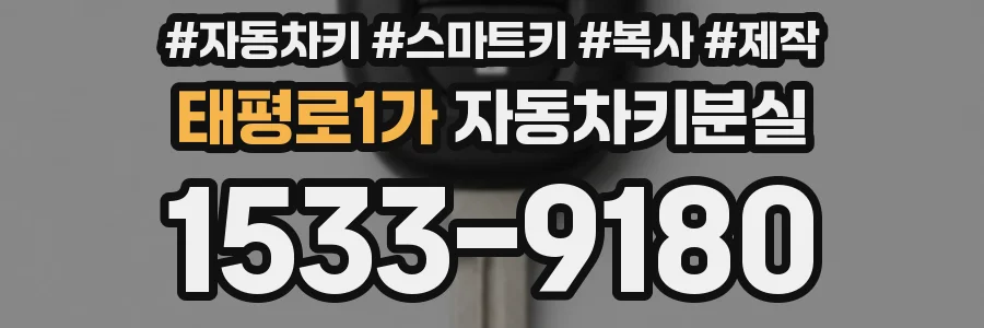 태평로1가 자동차키분실