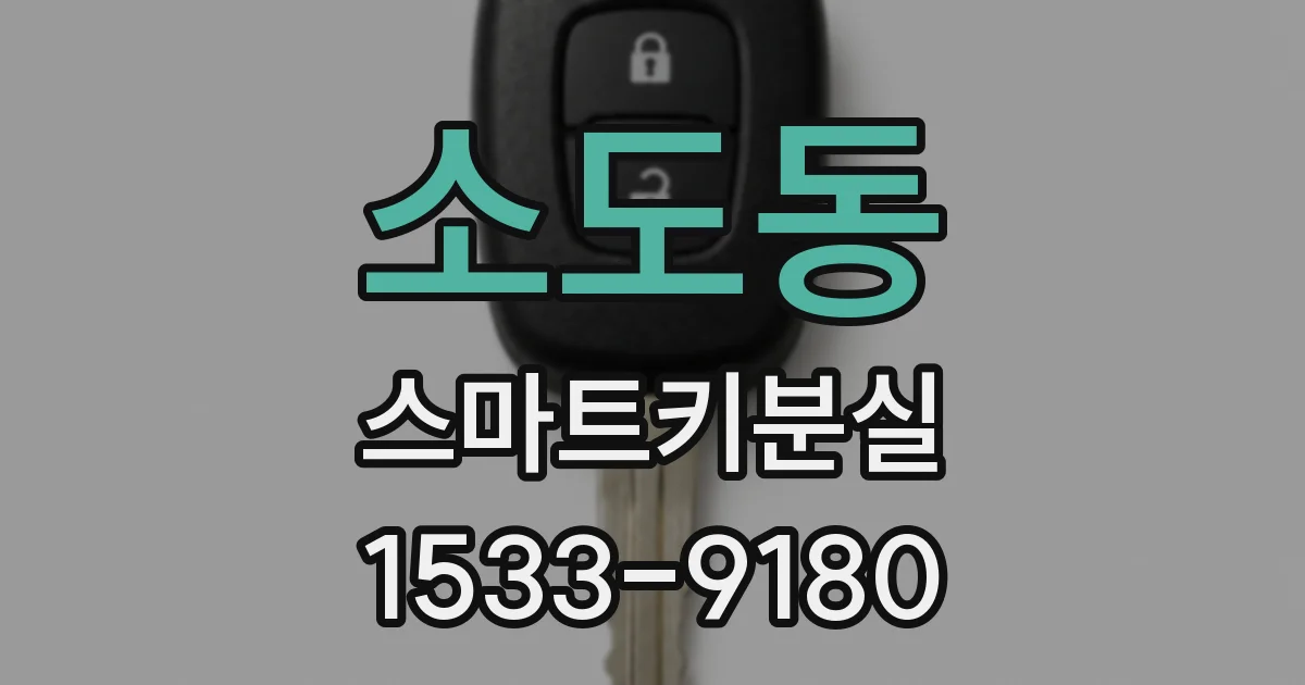 소도동 스마트키분실