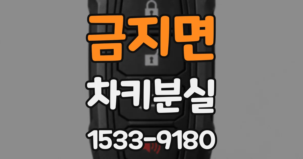 금지면 차키분실