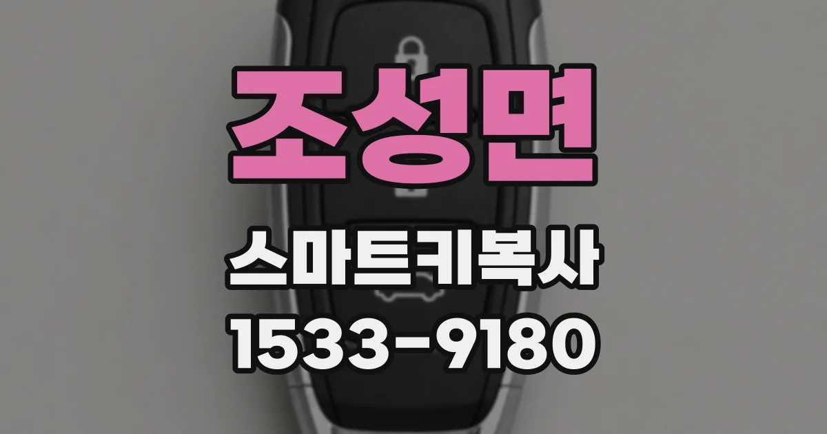 조성면 스마트키복사