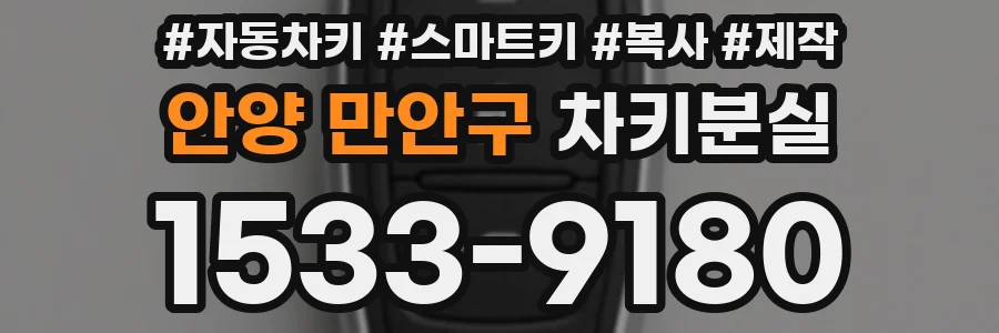 안양 만안구 차키분실