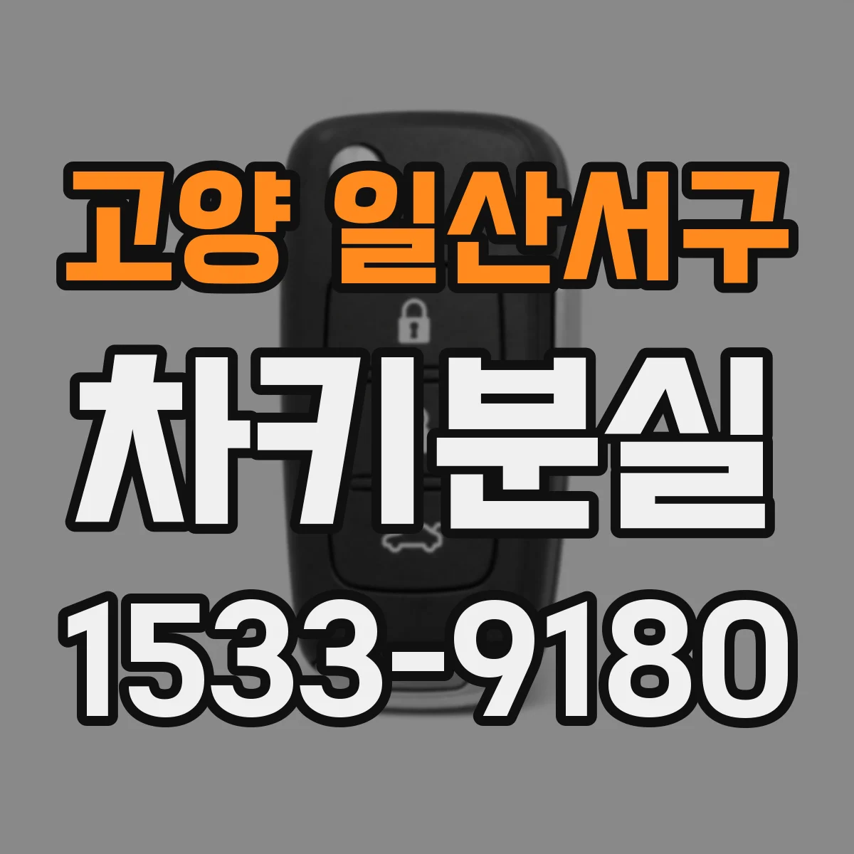 고양 일산서구 차키분실