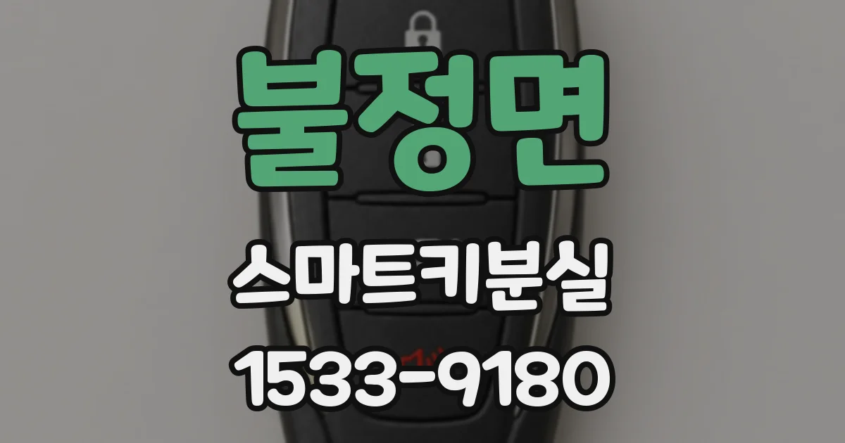 불정면 스마트키분실