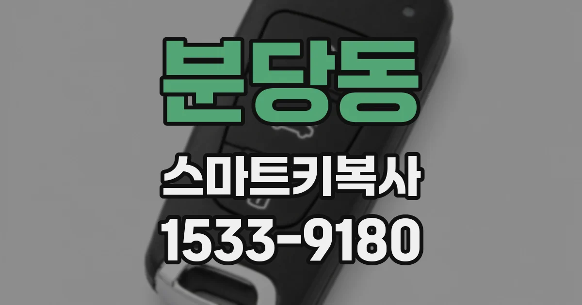 분당동 스마트키복사