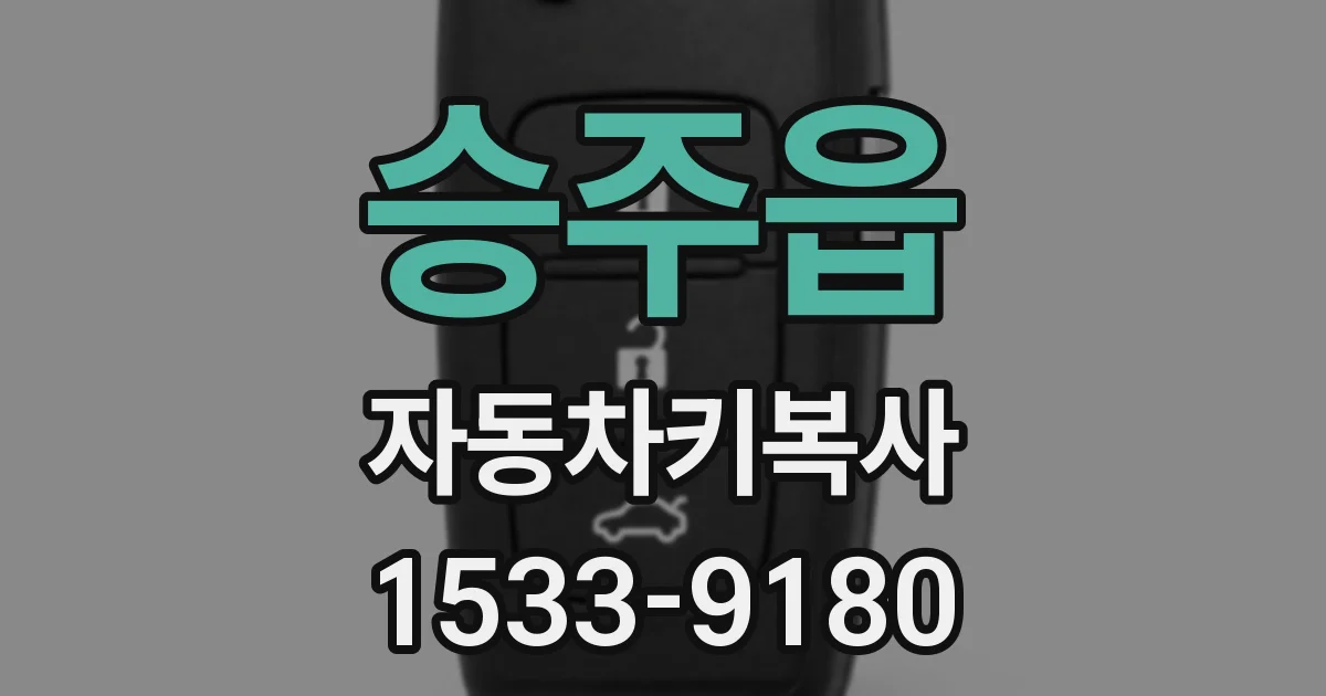 승주읍 자동차키복사