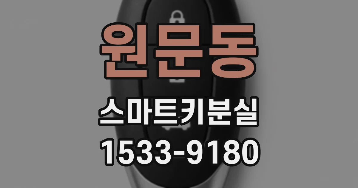 원문동 스마트키분실