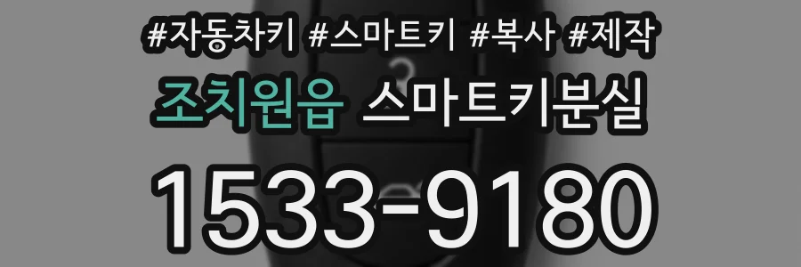조치원읍 스마트키분실