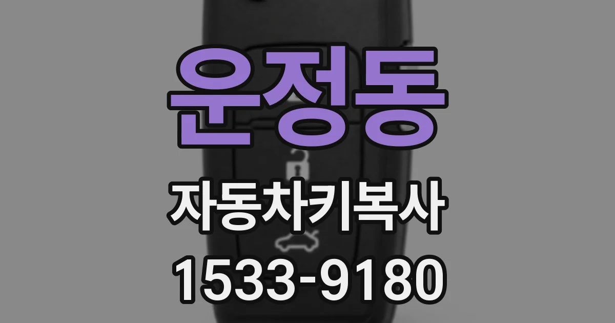 운정동 자동차키복사