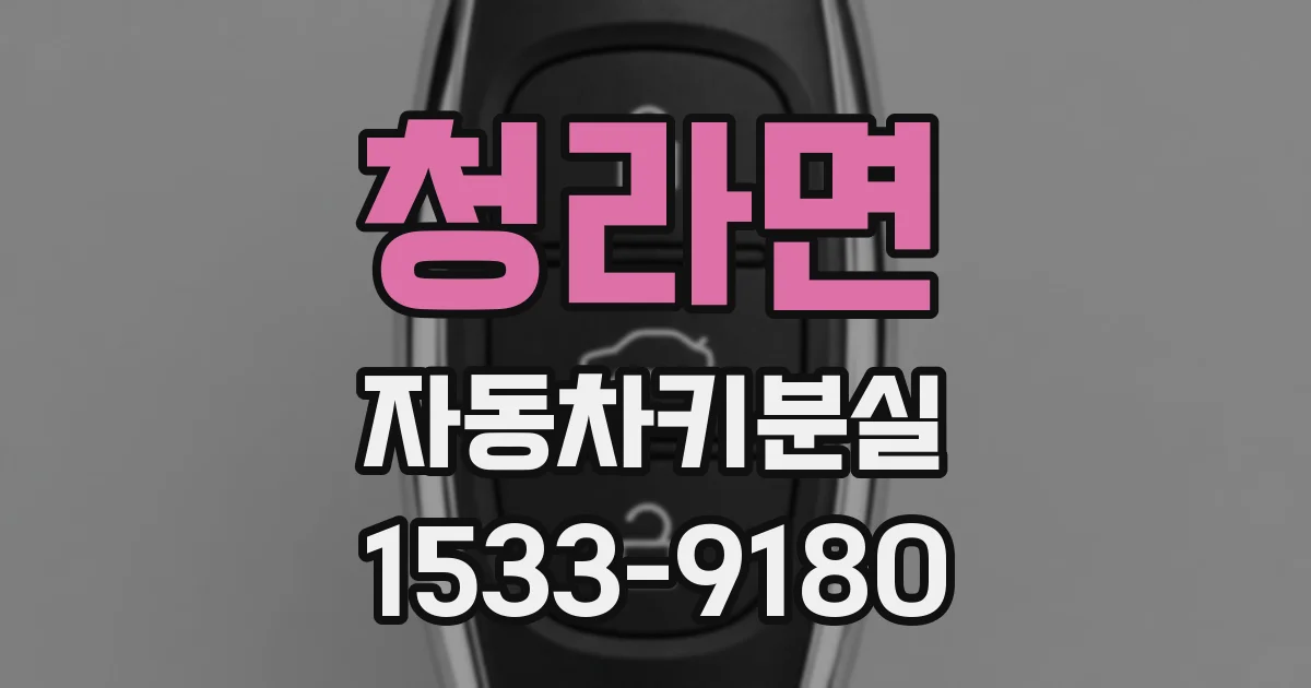 청라면 자동차키분실