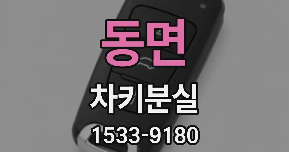 동면 차키분실