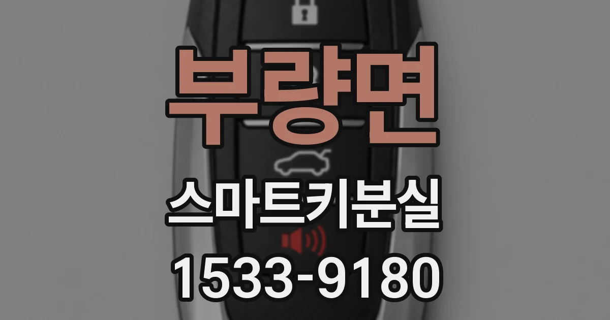 부량면 스마트키분실