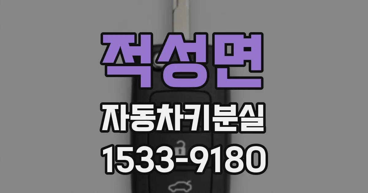 적성면 자동차키분실