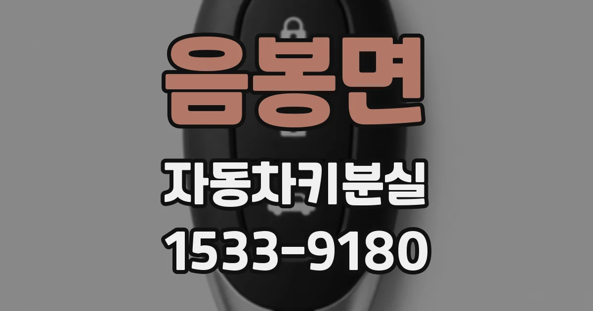 음봉면 자동차키분실