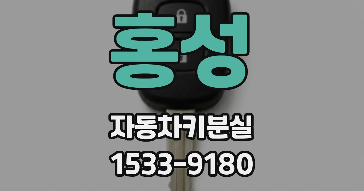 홍성 자동차키분실