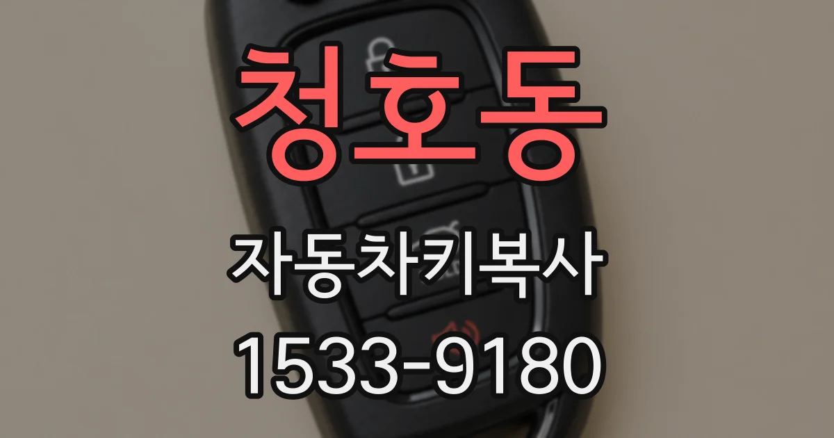 청호동 자동차키복사