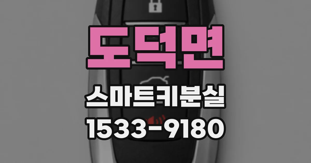 도덕면 스마트키분실