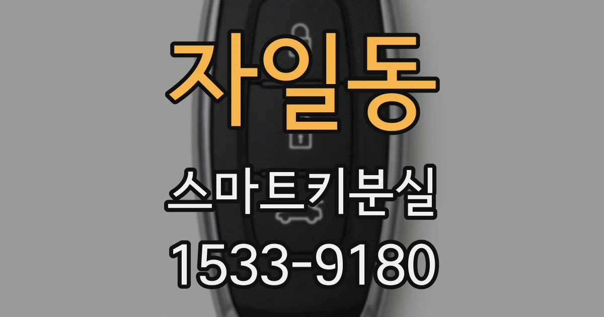 자일동 스마트키분실