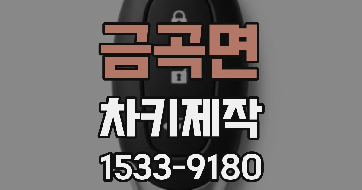 금곡면 차키제작