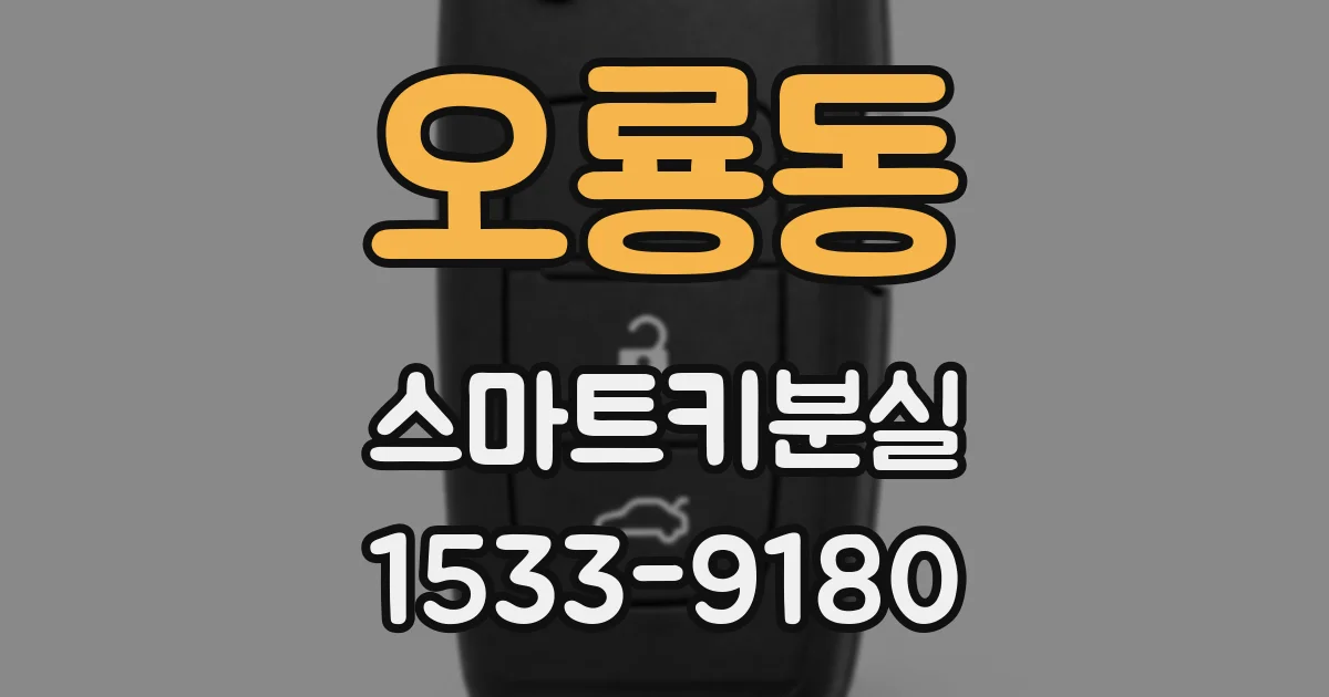 오룡동 스마트키분실
