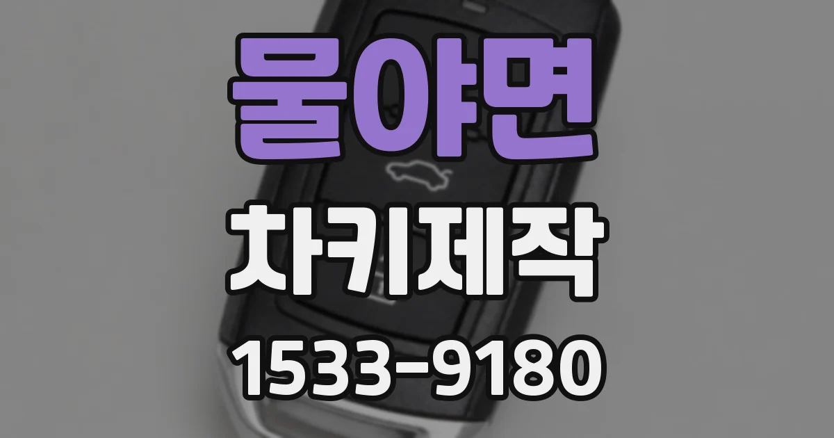 물야면 차키제작