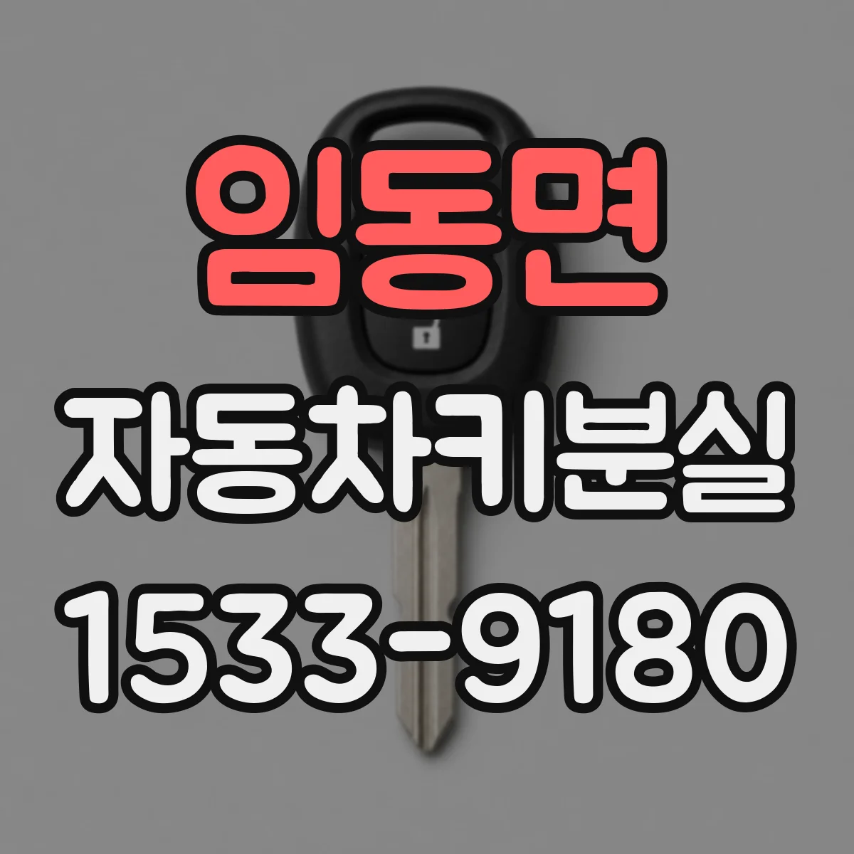 임동면 자동차키분실