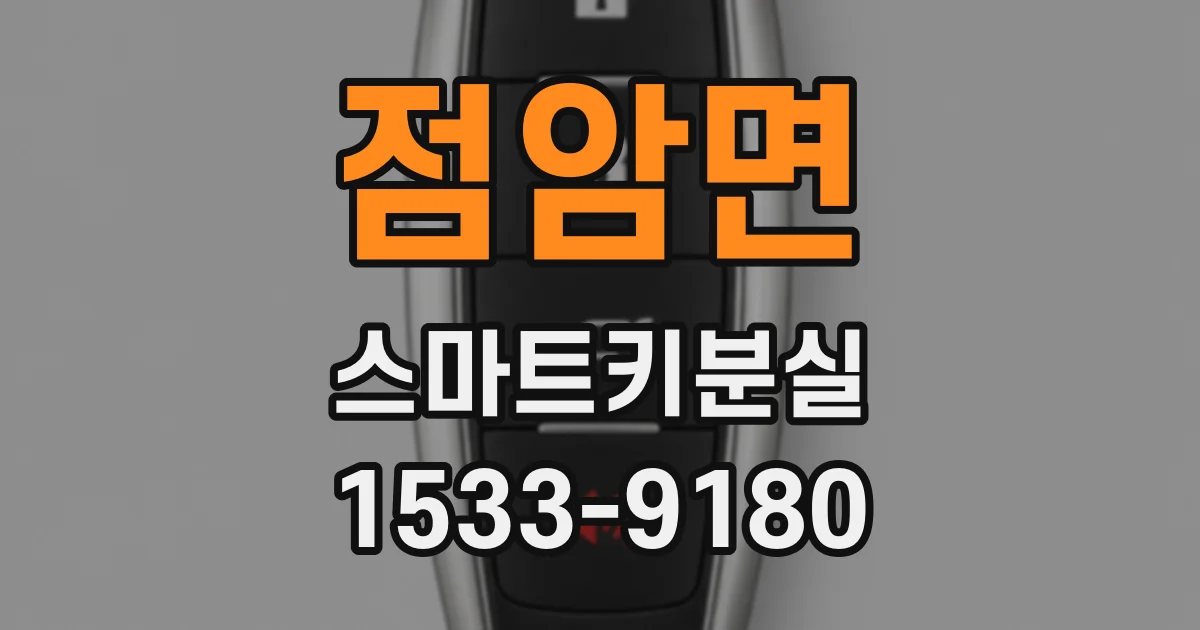 점암면 스마트키분실