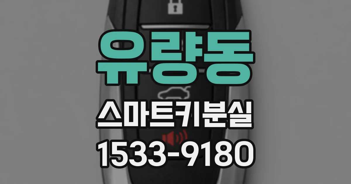 유량동 스마트키분실