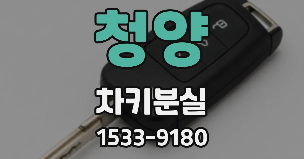 청양 차키분실