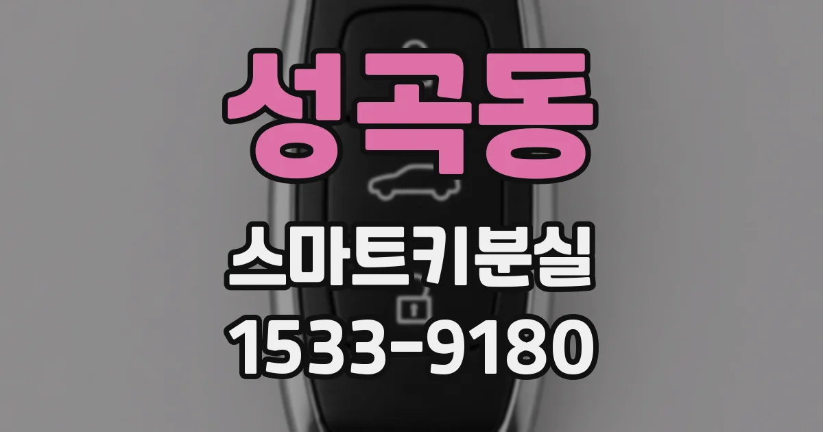 성곡동 스마트키분실