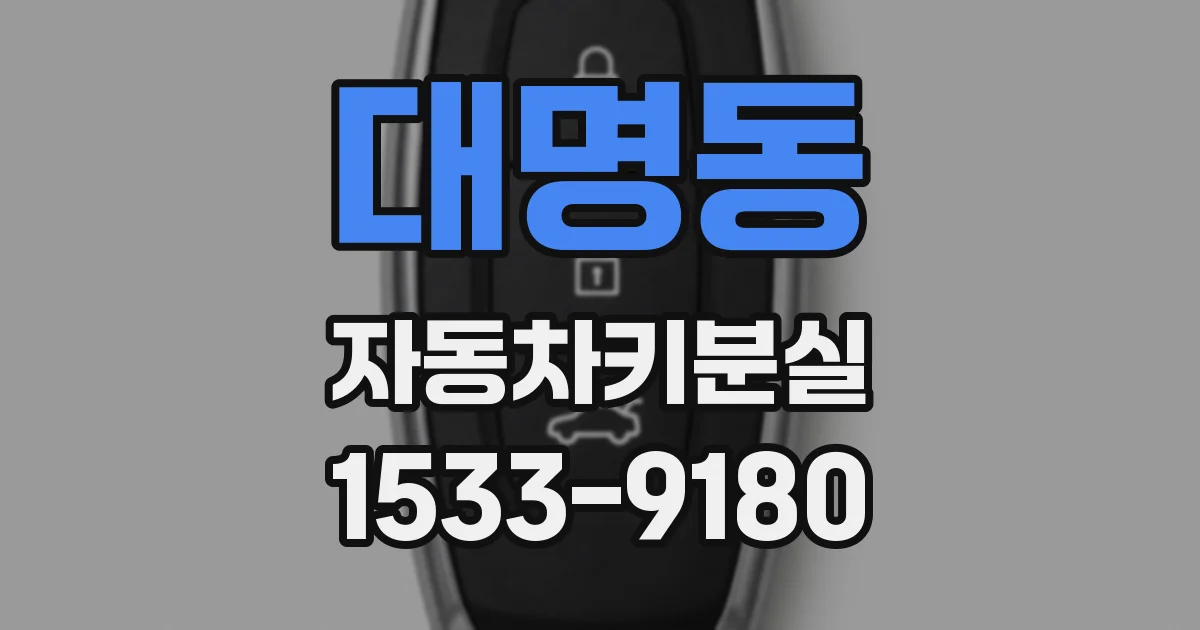 대명동 자동차키분실