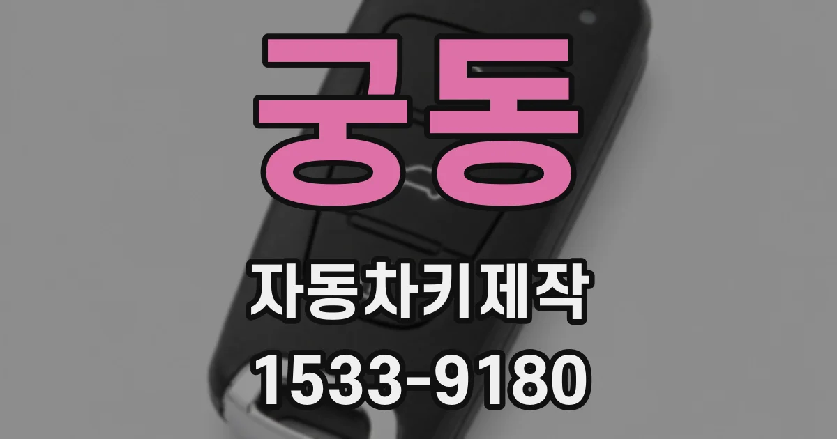 궁동 자동차키제작