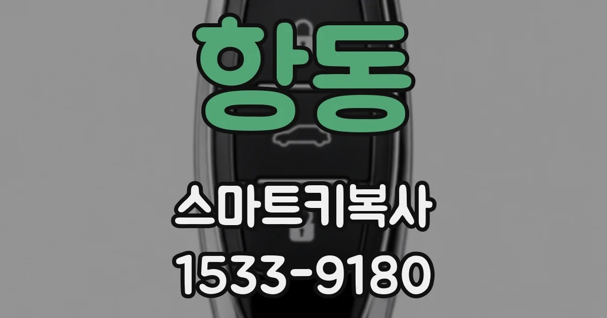 항동 스마트키복사