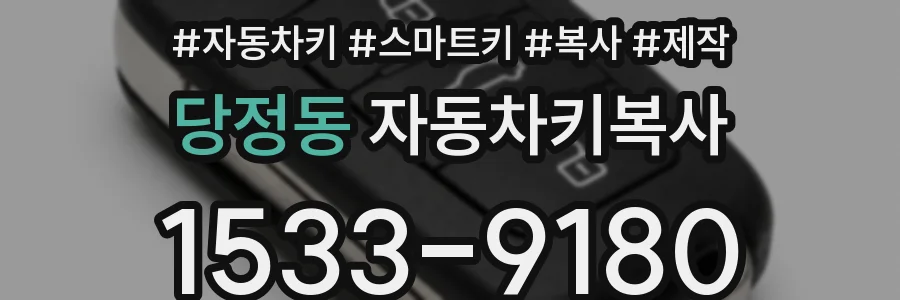 당정동 자동차키복사