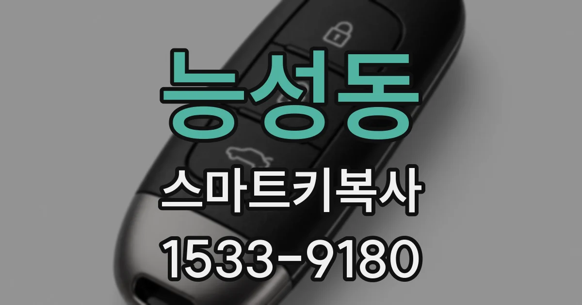 능성동 스마트키복사