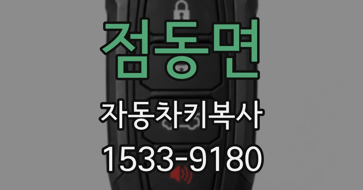 점동면 자동차키복사