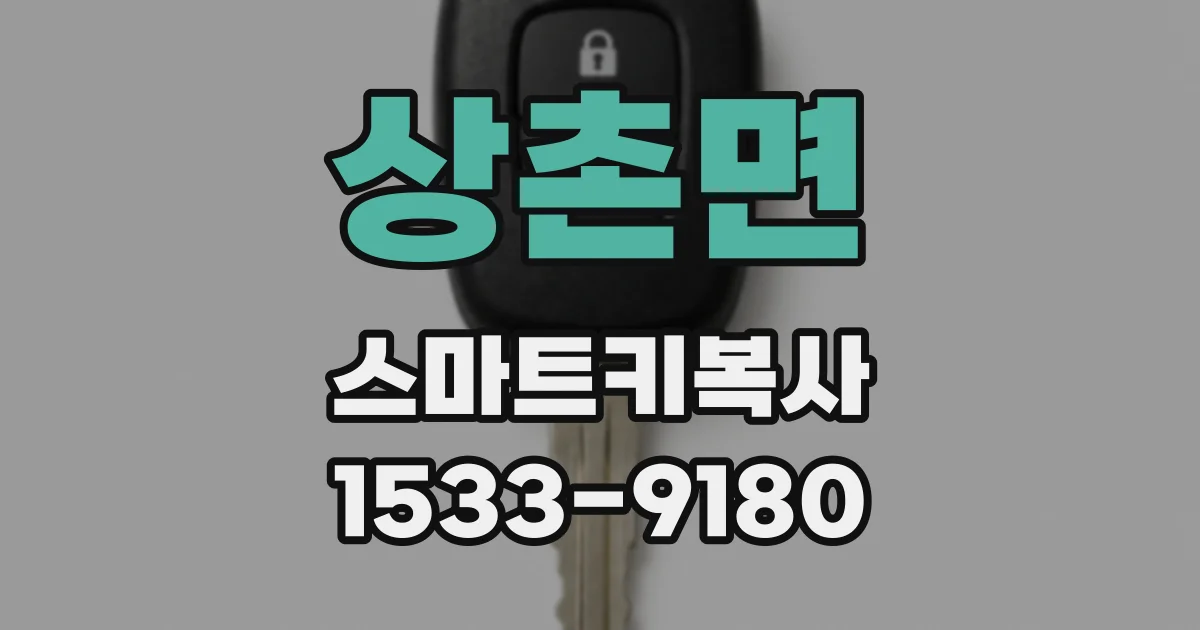 상촌면 스마트키복사