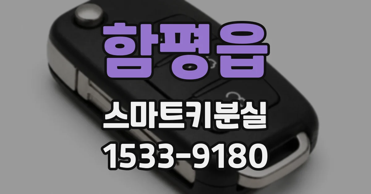 함평읍 스마트키분실